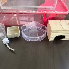 ハムスター 飼育セットの画像