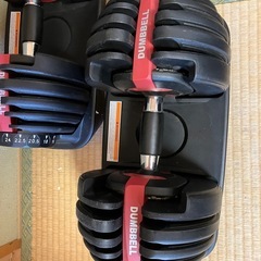 可変式ダンベル　24kg 2つの画像