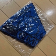 登坂広臣 今市隆二の画像