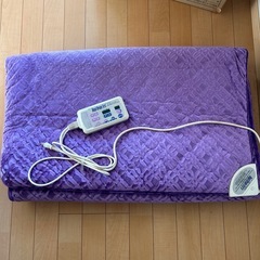 温熱電位治療布団
の画像