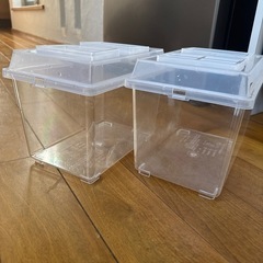 カブトムシ ケースの画像