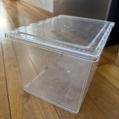 カブトムシ ケースの画像