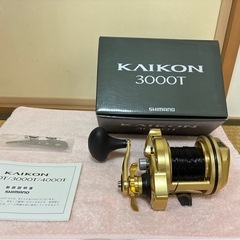 KAIKONT3000の画像
