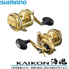 KAIKONT3000の画像