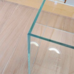 60cm水槽の画像