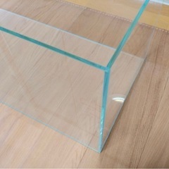 60cm水槽の画像