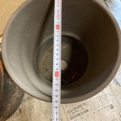 植木鉢などの画像