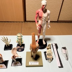 治療用ベッド　高田ベッドその他の画像