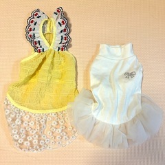 ペット　服　セットの画像