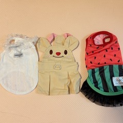 ペット　服　セットの画像