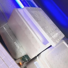 🟦極限サファイア成魚メダカ＊計⒎匹＊泳ぐ宝石カラー🔹サファイア🔹の画像