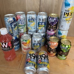 飲料19本セット（お酒含む）