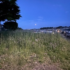 休耕地、山林除染作業の画像