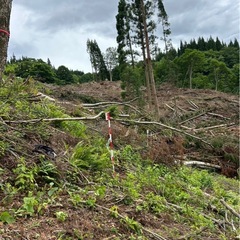 休耕地、山林除染作業の画像