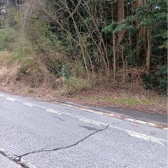 休耕地、山林除染作業の画像