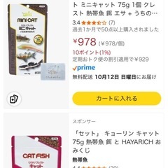 アルビノアフリカツメガエル　里親募集　オスメスいます1匹1500円 の画像