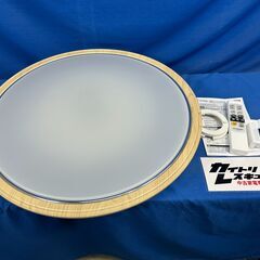 【動作保証あり】IRIS OHYAMA 2022年 CL8DL-...