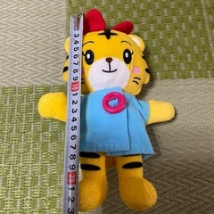 こどもちゃれんじ  はなちゃんの画像