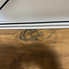 棚の画像
