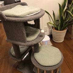  キャットタワーの画像
