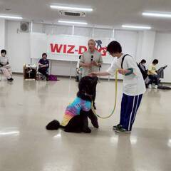 多和田悟氏の特別セミナー＆ディナーin八ヶ岳の画像