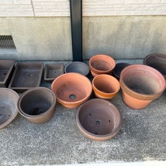 植木鉢いろいろの画像