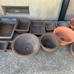 植木鉢いろいろの画像