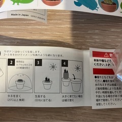 新品未使用　サボテン　栽培セット　2個の画像