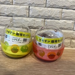 サムネイル