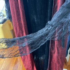 ドレスハロウィン衣装　サイズ10-12の画像