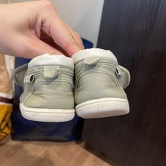 男の子　恐竜の靴14cmの画像