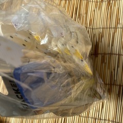 MAMAIKUKO キッチンセット ギフトの画像