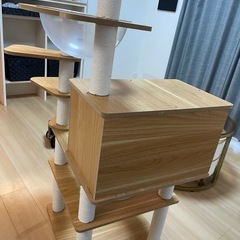  キャットタワー 美品の画像