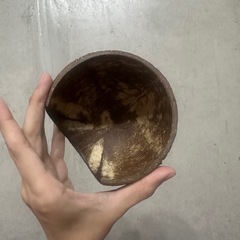 ハムスターココナッツハウスの画像