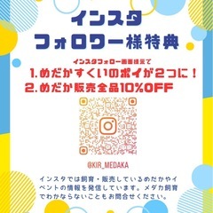 【イベント告知】メダカすくい・めだか販売　ぽっくるマルシェにて1...
