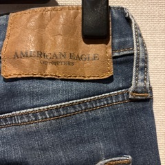 アメリカンイーグルの画像