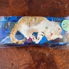 【新品未使用】猫柄のメガネケースの画像