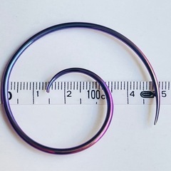 【激レア】ANATOMETAL アナトメタル スパイラルピアス チタン パープルの画像