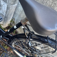 Santos 自転車の画像