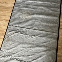 ニトリ 竹ラグ ゴザ タケラグ レジャーシート　の画像