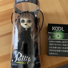リトルプーリップ(ノアール)
の画像
