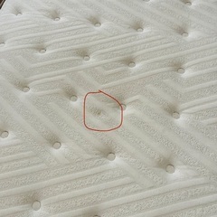 引取限定　N-sleepプレミアム P1-02CR の画像