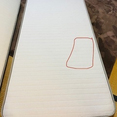 引取限定　N-sleepプレミアム P1-02CR の画像