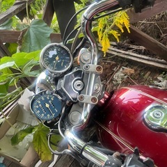 ヤマハSRV250の画像