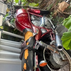 ヤマハSRV250の画像