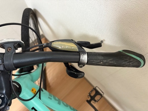 Bianchi　