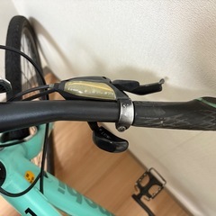 Bianchi　の画像