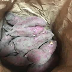 さつまいも🍠の画像