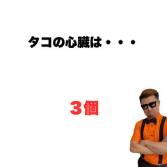 【小ネタ】タコの心臓は◯個？の画像