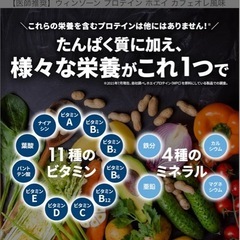 プロテイン   1kg
の画像